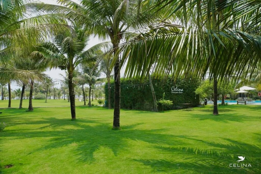 Combo du lịch Quảng Bình từ Hà Nội bằng tàu hỏa cho dịp lễ 30/4 2 Combo Celina Resort