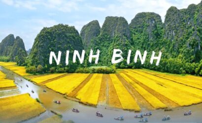 TOUR HẠ LONG - NINH BÌNH - NGHỆ AN 4N4D KHỞI HÀNH TỪ QUẢNG TRỊ